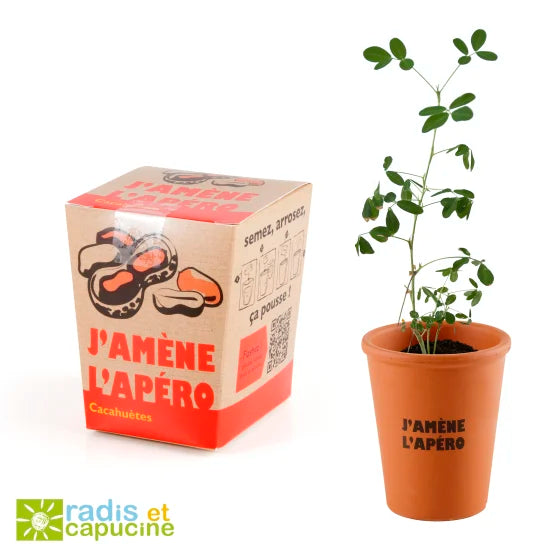 Kit Message Apéro Cacahuète