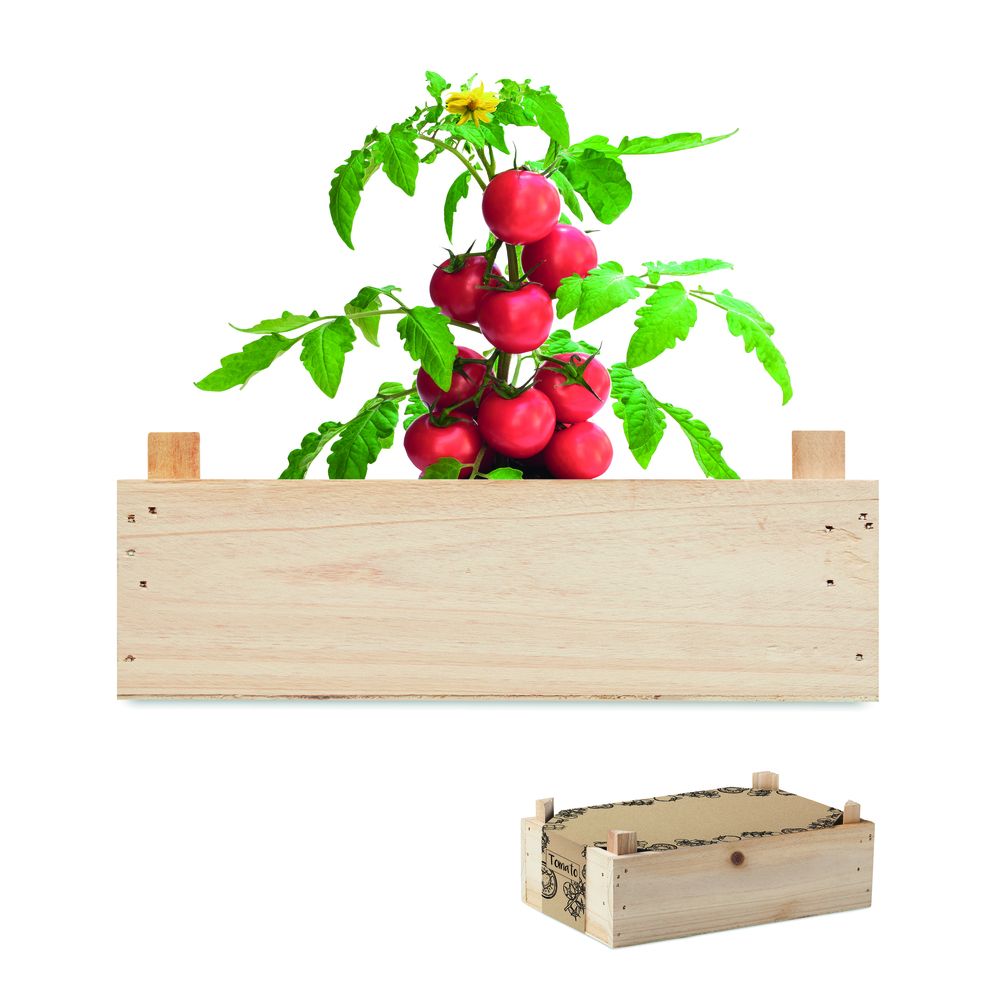 Kit Plantation Tomates
