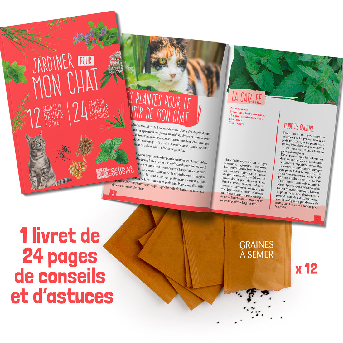 Coffret de 12 Sachets de Graines pour Chat