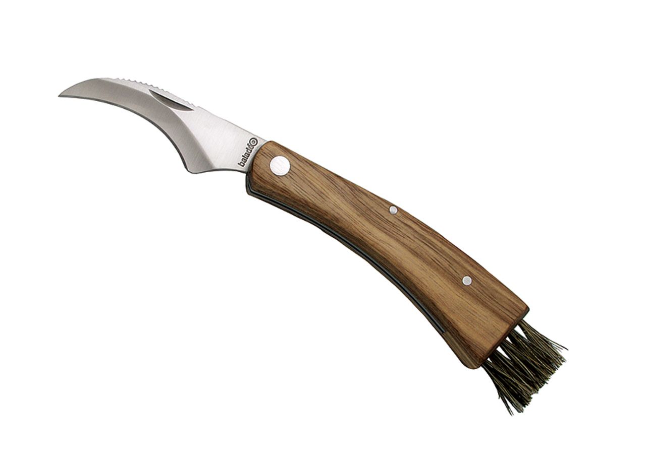 Couteau à Champignon Bois