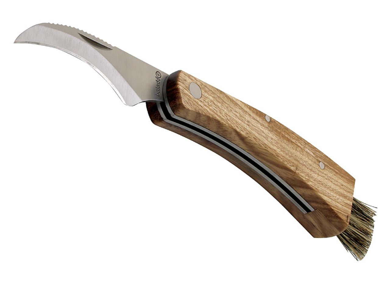 Couteau à Champignon Bois