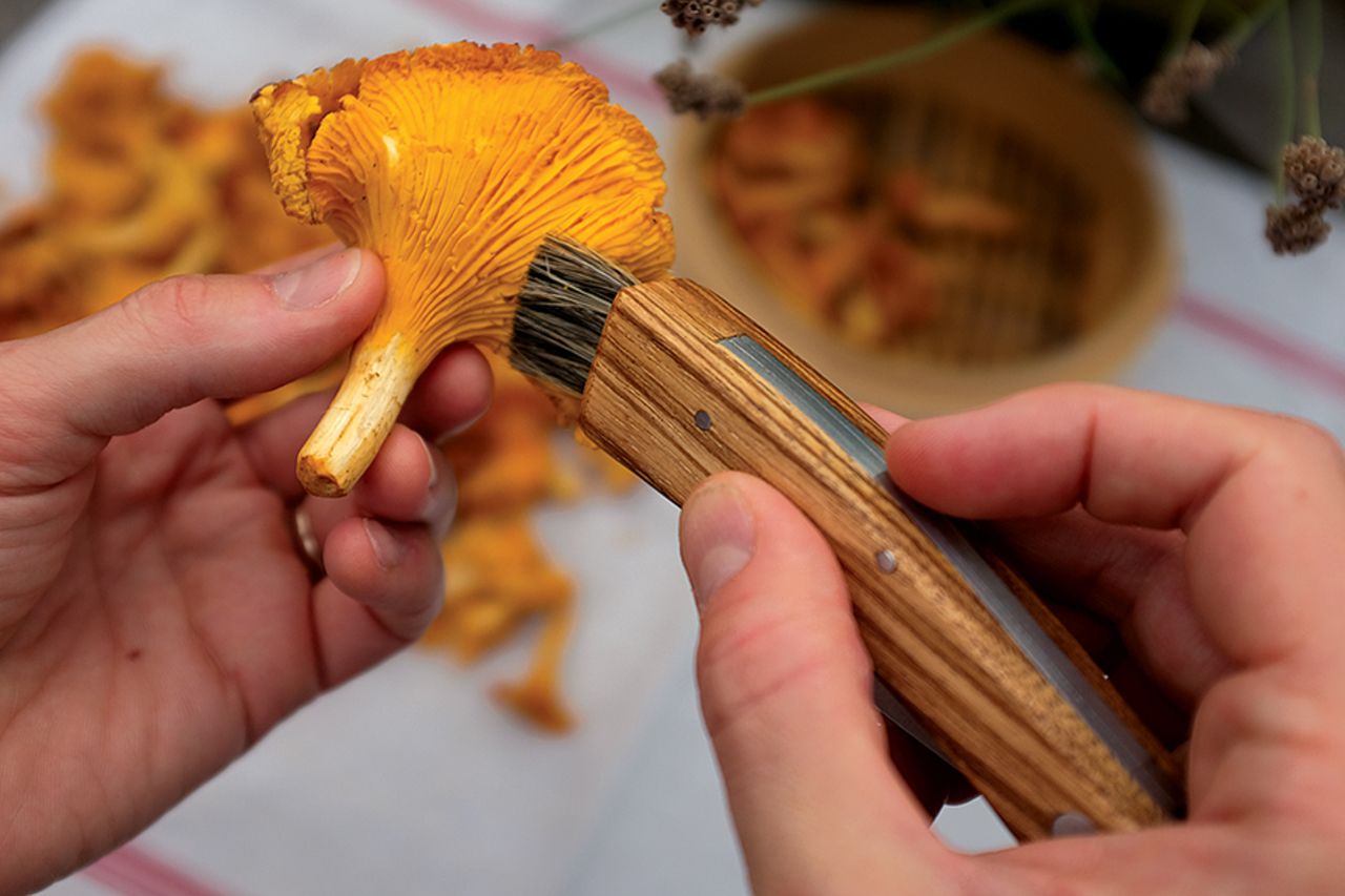 Couteau à Champignon Bois