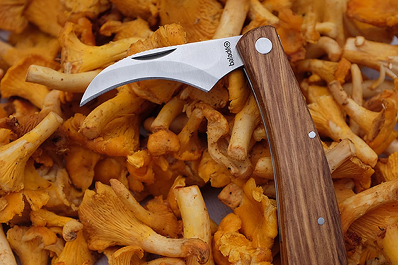 Couteau à Champignon Bois