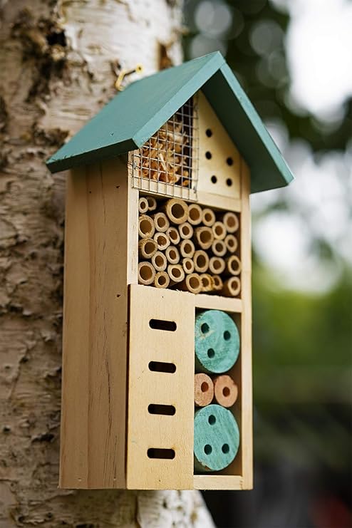 Hôtel à Insectes Bois