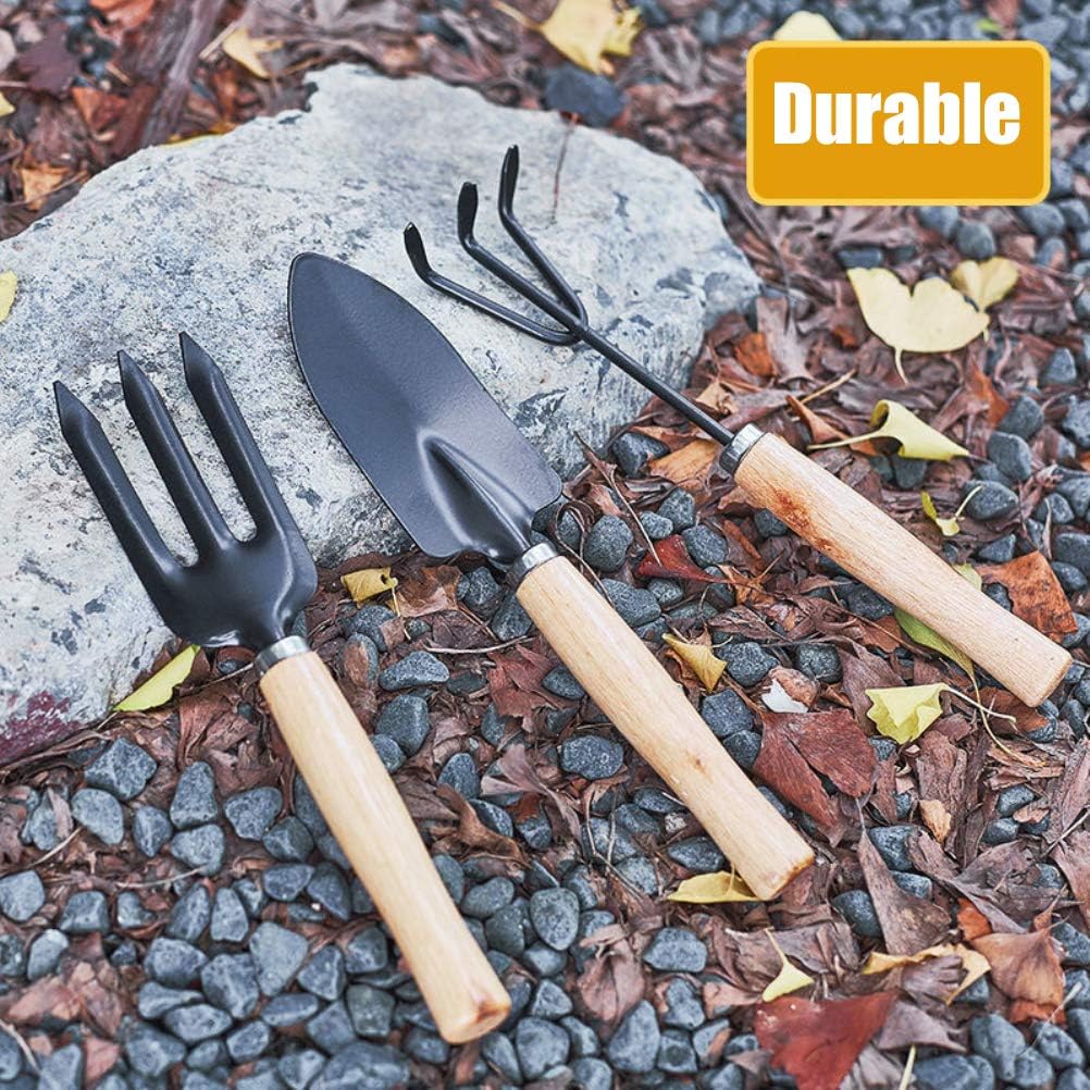 Set 3 Outils de Jardinage
