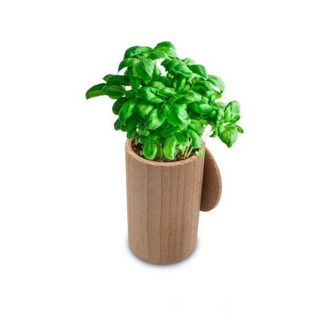 Pot Bois & Basilic