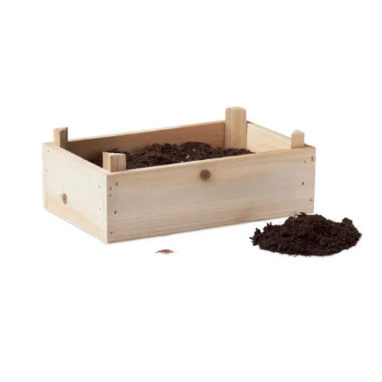 Kit Plantation Fraises