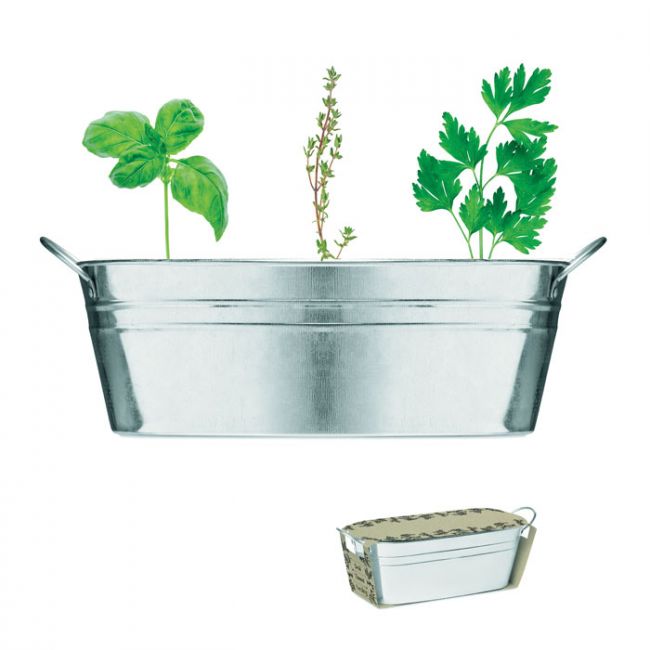 Kit Plantation Aromatiques