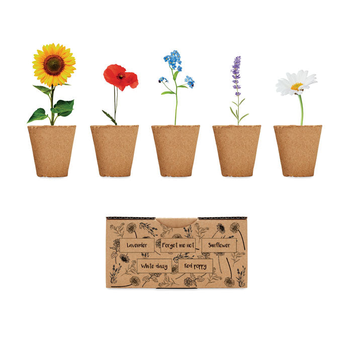 Kit Graines de Fleurs