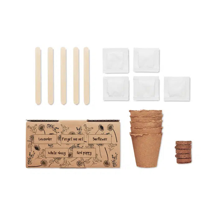 Kit Graines de Fleurs
