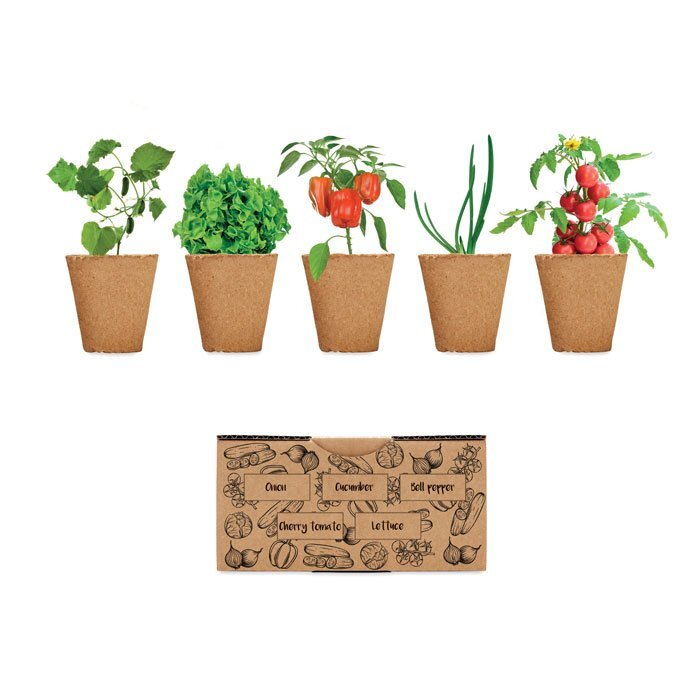 Kit de Culture Salade