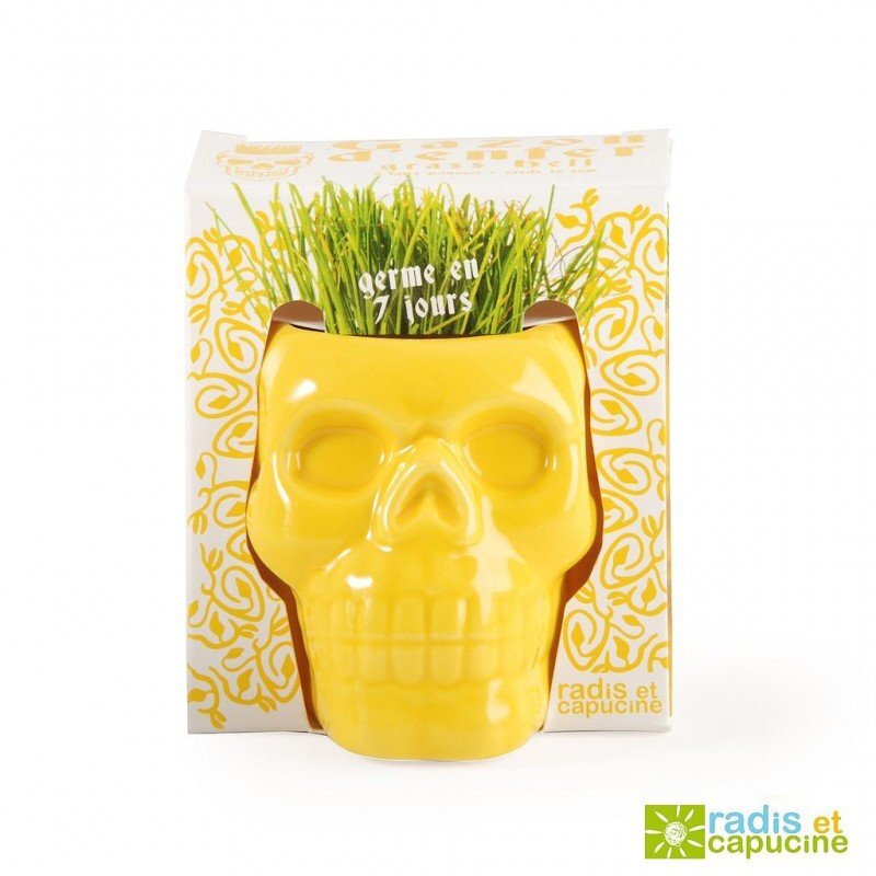 Pot Herbe Tête de Mort