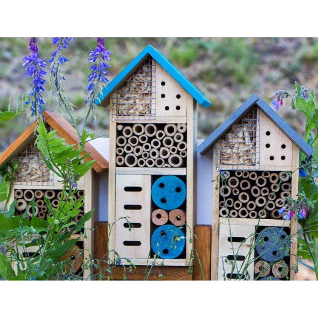 Hôtel à Insectes Bois