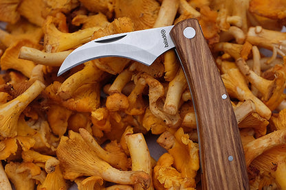 Couteau à Champignon Bois