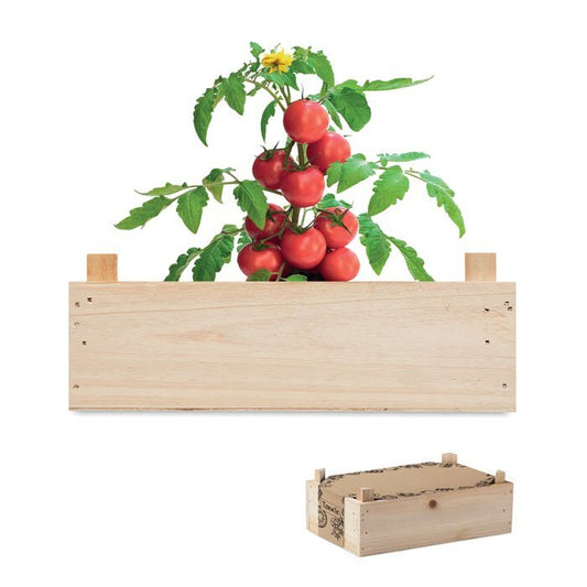 kit de plantation de tomate cerise